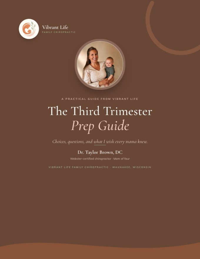 The cover of the Third Trimester Prep Guide